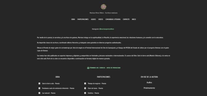 Galeria-Web-Mariana Perez Villoro-Imagen-1-Estudio-digital-Molusc-Productora-Digital