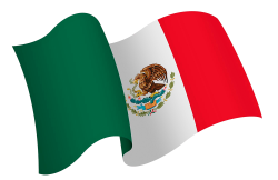 Bandera México - Fondo Semillas - Molusc Productora Digital